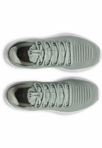 Dynamic 2 Verde